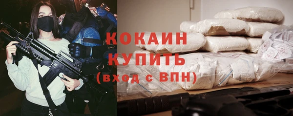 меф Ельня