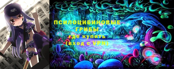спайс Баксан