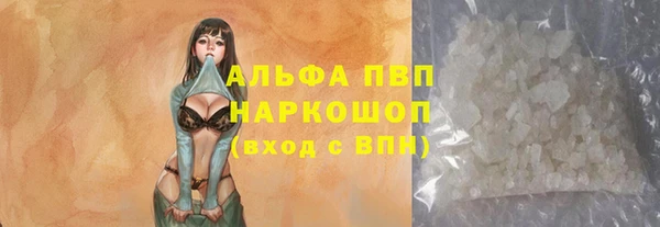 спайс Баксан