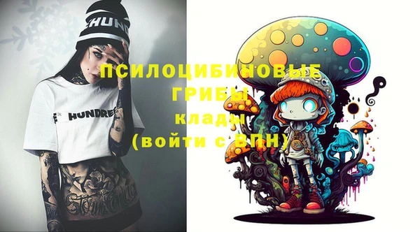 спайс Баксан