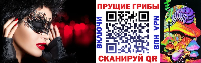 цены наркотик  Долгопрудный  Псилоцибиновые грибы мухоморы 