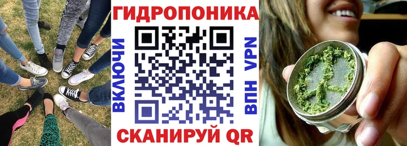 Шишки марихуана OG Kush Долгопрудный